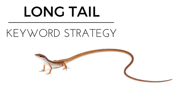 How to Find Long Tail Keywords That Will Bring Tons of Traffic