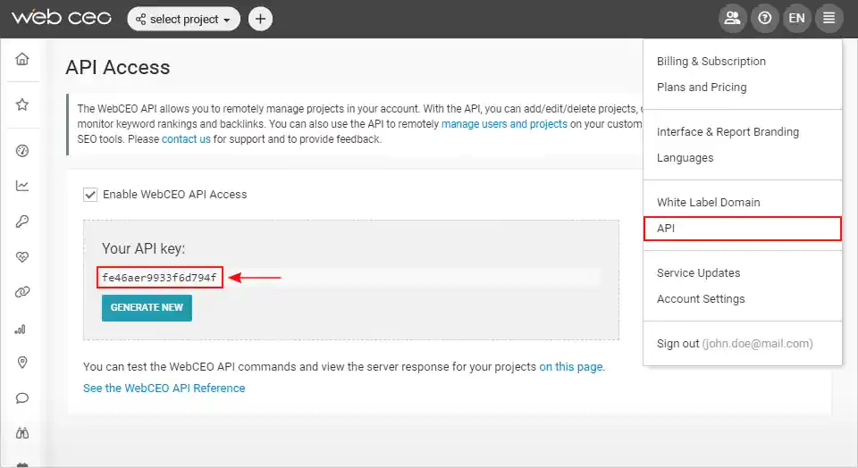 WebCEO API Key
